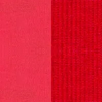 PARADISE/SIGNALROT