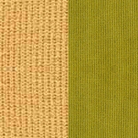 CAMEL/KIWI