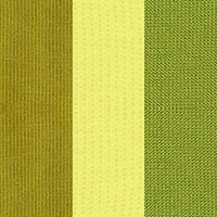 KIWI/ZITR/MOOSGRÜN