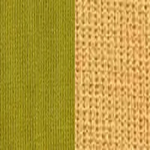 KIWI/CAMEL